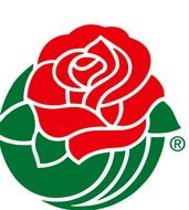 Rose Bowl drawing For Women