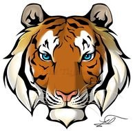 tiger head on a white background