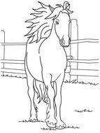 Free Printable Horse drawing