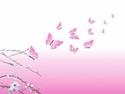 Pink background, Butterflies and flowers