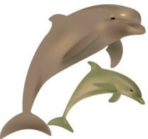 Dolphins Jumping Vector