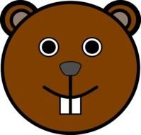 Squirrel face as a drawing