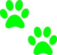 green dog footprints