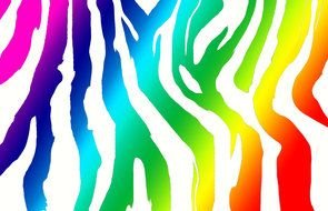 Rainbow Zebra drawing