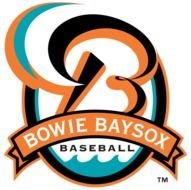 bowie baysox baseball logo drawing