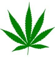 Marijuana drawing