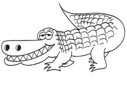 drawn white cartoon crocodile