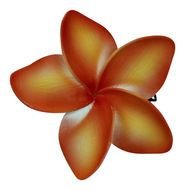 Hawaiian Hair Clip for Luau Flower Dance