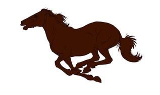 Racehorse Silhouette horse drawing