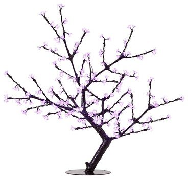 Cherry Blossom Transparent Background Flowers Are