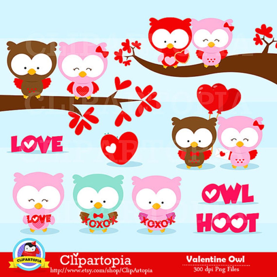 Owl Valentines Day Cute Valentine Personal