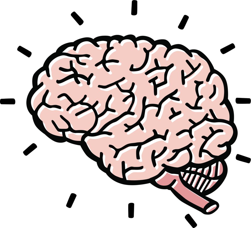 human brain with Lines, drawing