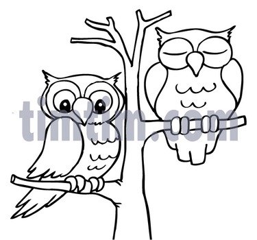 Owl Drawings Colouring Pages