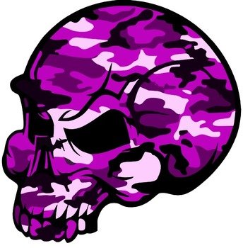 Pink Skull Pictures