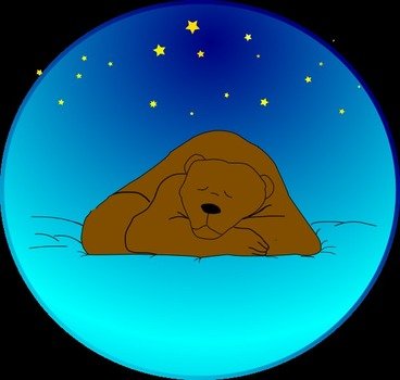 Bear Under Stars Circle At Clkercom Vector clipart