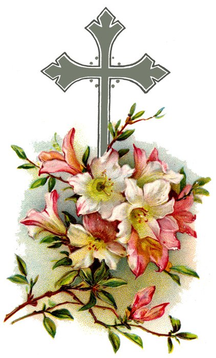 Vintage drawing of the flower and cross