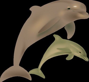 Dolphins Jumping Vector