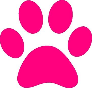 Leopard Paw Print Car Tuning