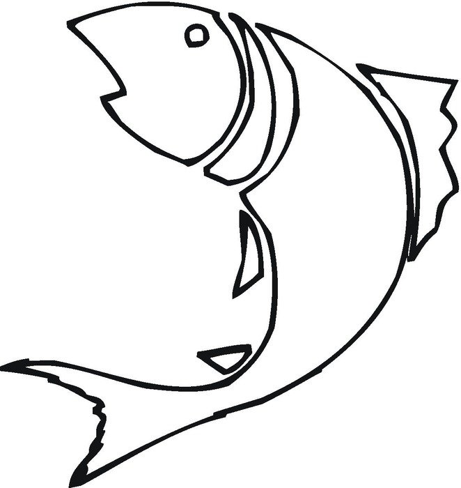 fresh Fish drawing