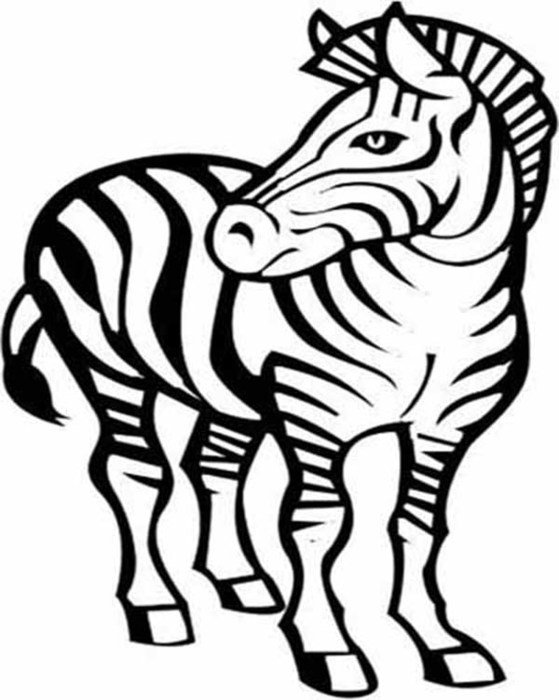 Zebra Drawing Colouring Pages Page 2