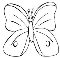 clipart of the butterfly