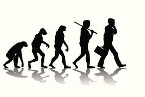 Clipart of the human evolution