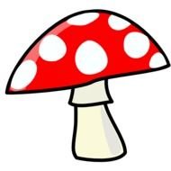 Mushroom Info Resolution 425 X 362 Category Nature