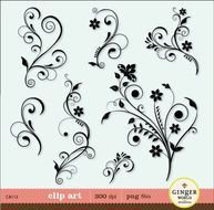 Flower Flourish Swirl Decorative Digital Illustration For Diy