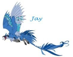 Blue Jay Griffin clipart