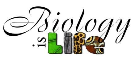 Biology is life as the inscription in the picture