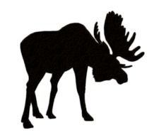 black silhouette of a moose with head bowed