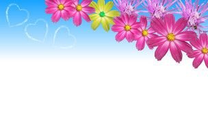 banner with tropical flowers on a blue background