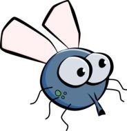 Cartoon nice Fly drawing