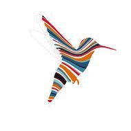 color Humming bird Drawing