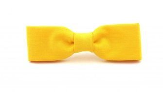 yellow bow tie as picture