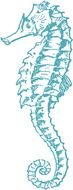 Clipart of sea Horse