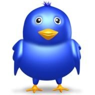 Twitter Bird Free Images At Clkercom Vector Online