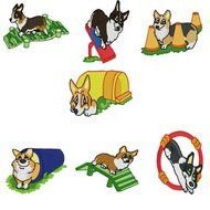 Dog Agility Httpdaveengravescomdaveengraves 013htm