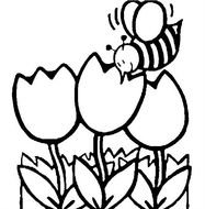 children's drawing bee on tulips