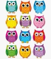 twelve Colorful cartoon Owls