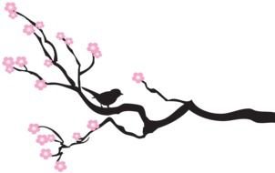 branch with pink flowers at black backgroun, drawing