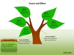 picture of a tree in computer science lessons
