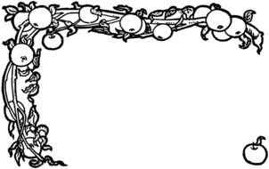 Decorative apple Borders drawing