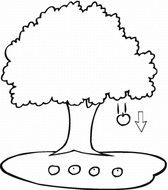black and white drawing of a tree by falling apples
