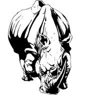 black and white image of a drinking rhino