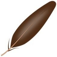 brown Feather drawing