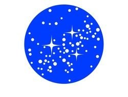 36 Picture Of The Star Frees That You Can Download To