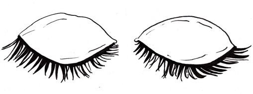 black eyelashes as a picture for clipart