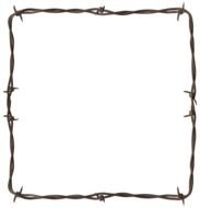 barbed wire frame