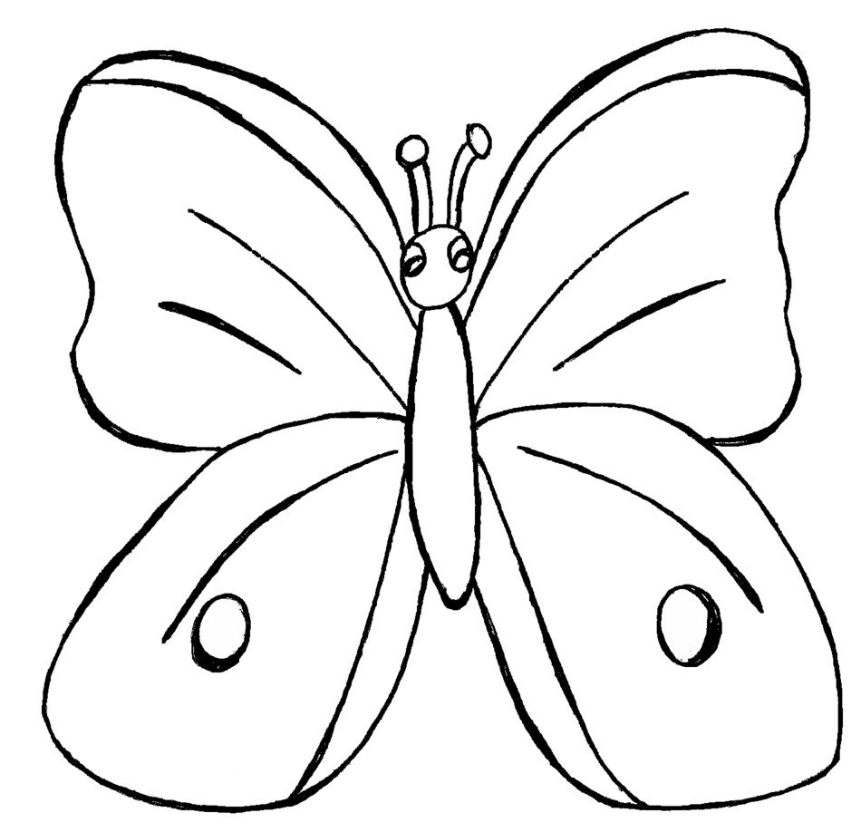 clipart of the butterfly
